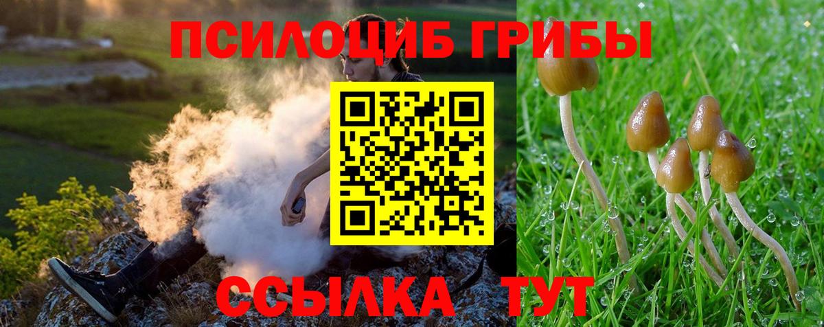 Галлюциногенные грибы Cubensis  Вход с VPN  Ишимбай 