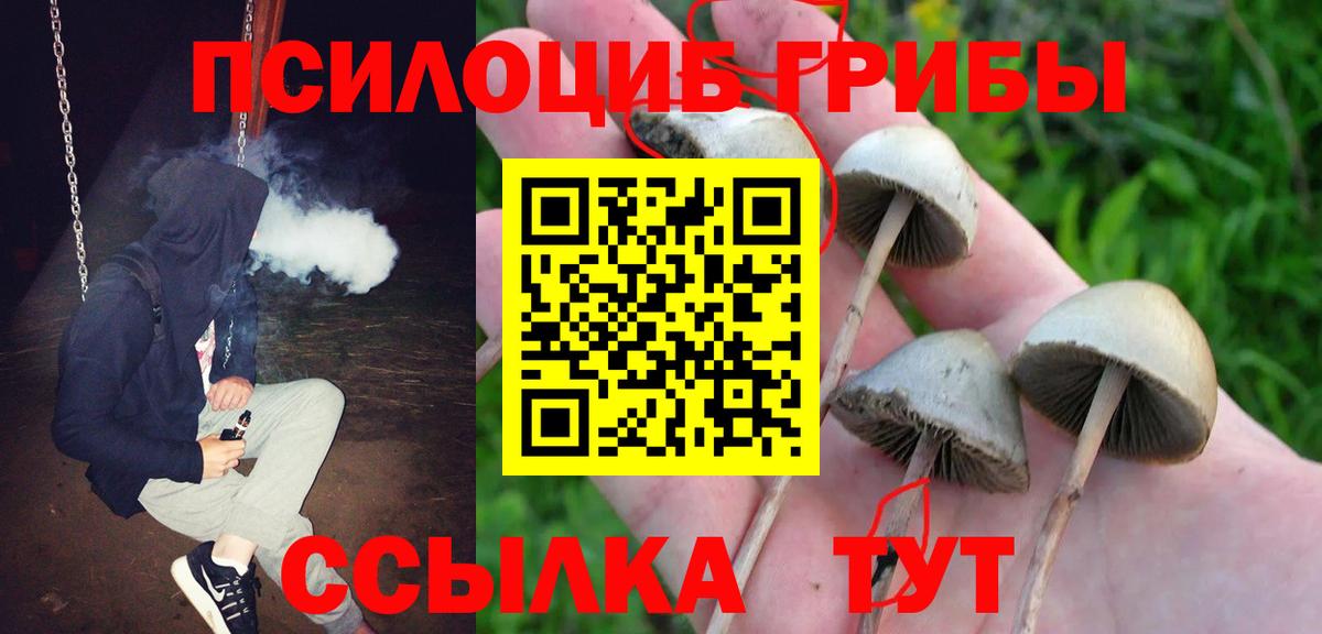 Галлюциногенные грибы Magic Shrooms  Псилоцибиновые грибы Psilocybine cubensis  Ишимбай 