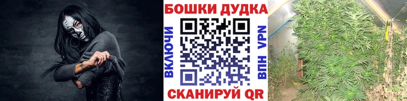 Бошки Шишки конопля  Ишимбай 